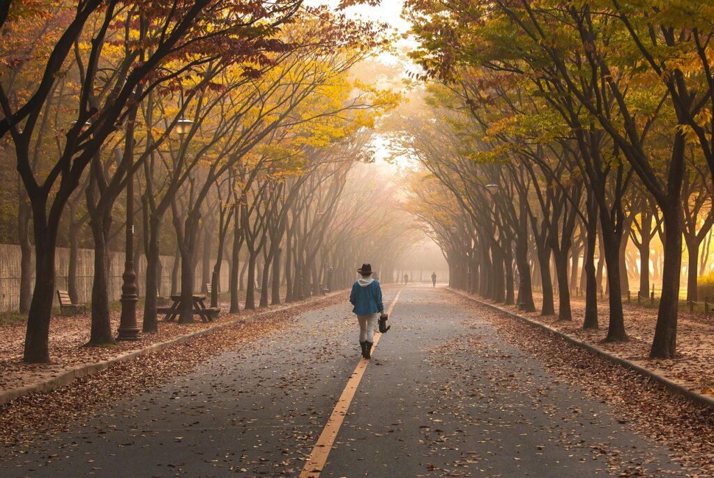 road, pavement, woman, trees, walk, girl, fog, walking, roadway, avenue, mist, leaves, foliage, nature, autumn, fall, park, walk, walk, walk, walking, walking, walking, walking, walking