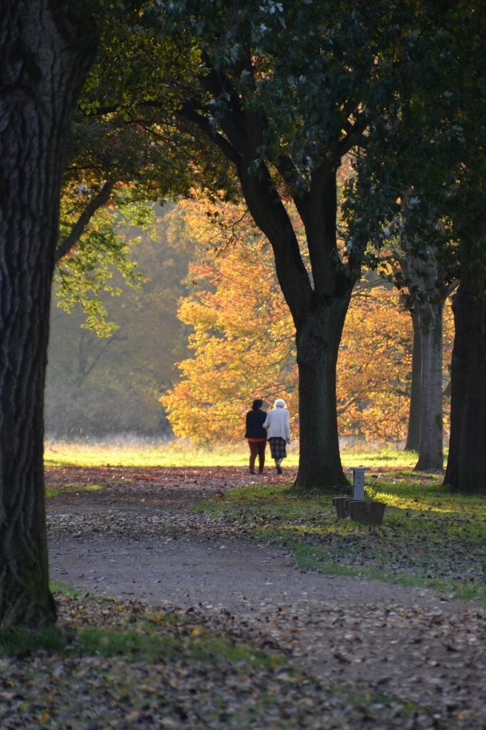 fall, autumn forest, golden autumn, people, walk, eventide, path, grief, autumn mood, people, grief, grief, grief, grief, grief